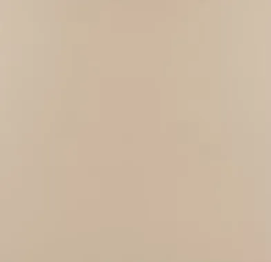 Керамогранит бежевый матовый моноколор 0,83х20х20 см