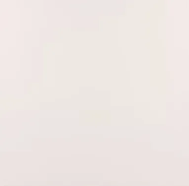 Керамогранит белый матовый моноколор 0,83х20х20 см