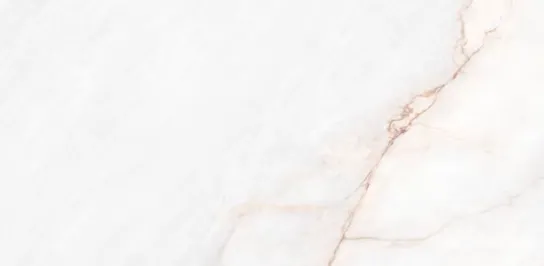 Керамогранит белый матовый вид 3 под мрамор 1х60х120 см