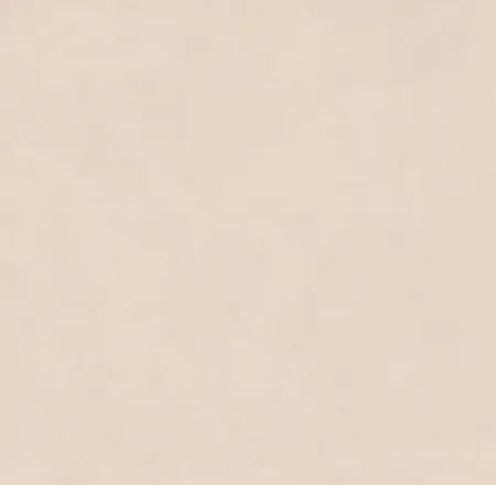 Керамогранит бежевый матовый вид 3 под бетон 0,9х120х120 см