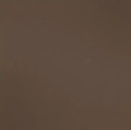 Керамогранит коричневый матовый вид 2 моноколор 1х60х60 см